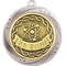 Superstar Science Medal