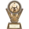 Apex Martial Arts Award Gold & Silver