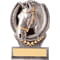 Falcon Equestrian Award