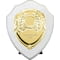 Reward Shield & Front Arctic White & Gold