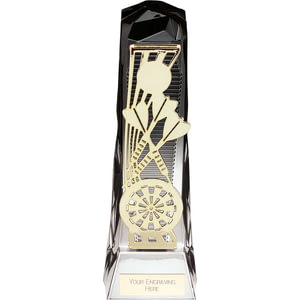 Shard Darts Award Carbon Black & Ice Platinum 230mm