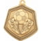 Falcon Football Medal