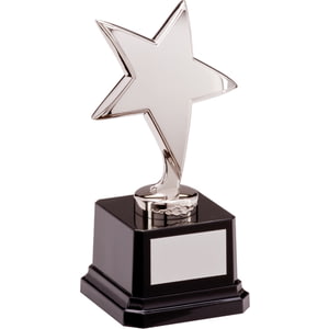 The Challenger Star Award