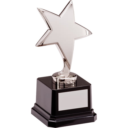 The Challenger Star Award