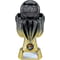 Tournament Football Heavyweight Carbon Black & Gold