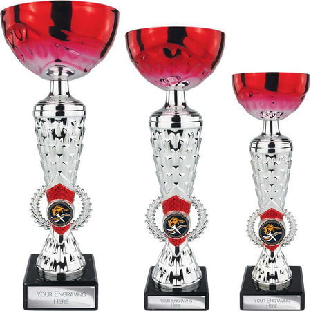Energy Trophy Red & Silver