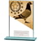 Mustang Pigeon Glass Award