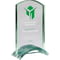 Boost Glass Award Thick)