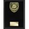 Cobra Plaque Thank you Coach Award Epic