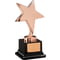 The Challenger Star Award