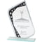 Meteor Mirror Glass Award Black & Silver