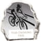 Mystique Cycling Glass Award