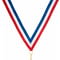 Childrens Safety Velcro Medal Ribbon 360x10mm