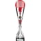 Eclectic Trophy Silver & Red