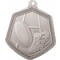 Falcon Rugby Medal