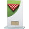 Colour Curve Snooker Glass Award