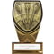 Fusion Cobra Darts Award Black & Gold
