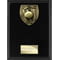 Cobra Plaque Cricket Award Epic