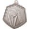 Falcon Cricket Medal