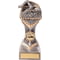 Falcon Swimming Female Award