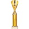 Rising Stars Plastic Trophy