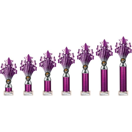 5 Star Multisport Tube Trophy Purple and Silver