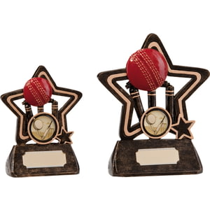 Little Star Cricket Award