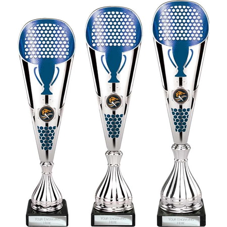 Eclectic Trophy Silver & Blue