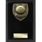 Cobra Plaque Pool Award Epic