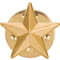 3D Star Pin Badge