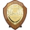 Reward Shield & Front Walnut &