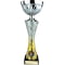 Vigour Trophy Silver & Gold