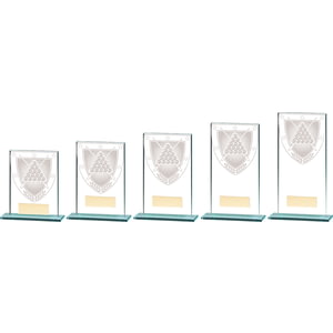 Millennium Snooker Glass Award