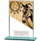 Mustang Equestrian Glass Award