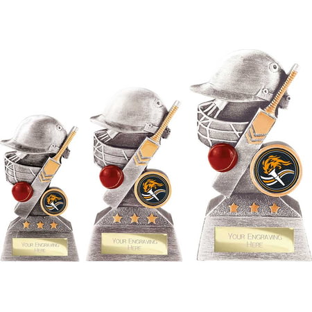 Smash Cricket Award Antique Silver & Gold 160mm