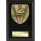 Cobra Plaque Swimming Award Epic