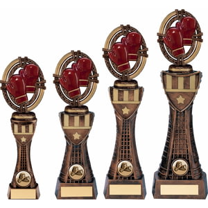 Maverick Boxing Heavyweight Award