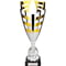 Paramount Laser Cup Silver & Gold