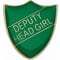 Scholar Pin Badge Deputy Head Girl