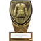 Fusion Cobra Martial Arts Award Black & Gold