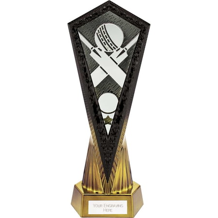 Inferno Cricket Award Carbon Black & Fusion Gold 270mm