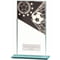 Mustang Football Glass Award