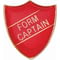 Scholar Pin Badge Form Captain