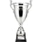 Endeavour Super Cup