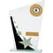 Mega Star Multisport Jade Glass Award Black & Silver