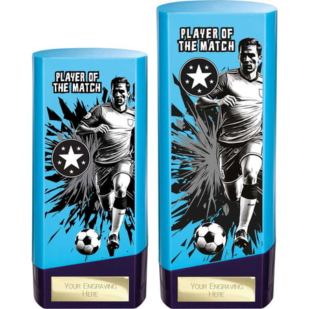 Prime Heavyweight Player of the Match Blue & Purple 190mm
