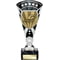 Cobra Star Cup Swimming Silver & Black