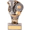 Falcon Achievement Cup Award