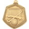 Falcon Hockey Medal