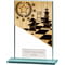 Mustang Chess Glass Award